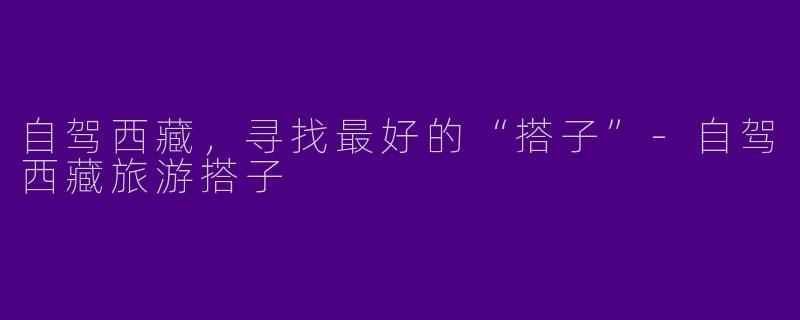 自驾西藏，寻找最好的“搭子”-自驾西藏旅游搭子