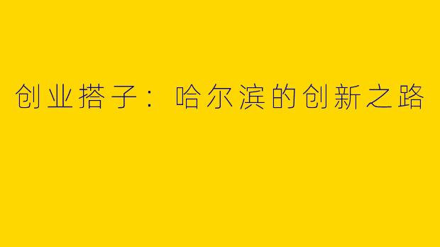 创业搭子：哈尔滨的创新之路