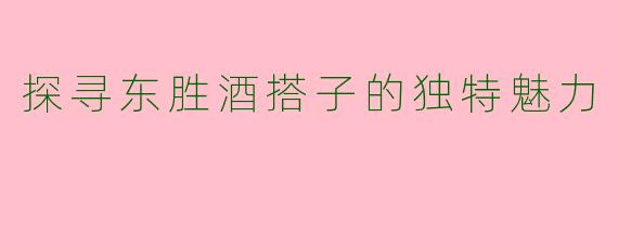 探寻东胜酒搭子的独特魅力