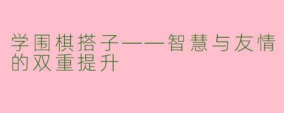 学围棋搭子——智慧与友情的双重提升