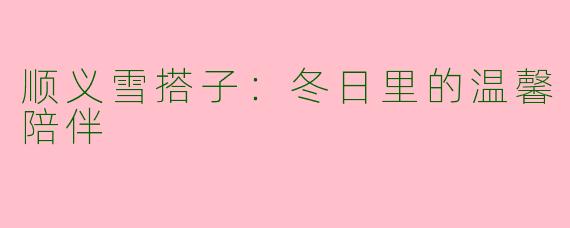 顺义雪搭子：冬日里的温馨陪伴