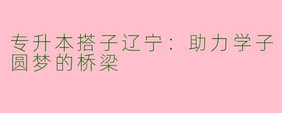 专升本搭子辽宁：助力学子圆梦的桥梁