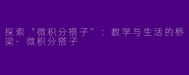 探索“微积分搭子”：数学与生活的桥梁-微积分搭子