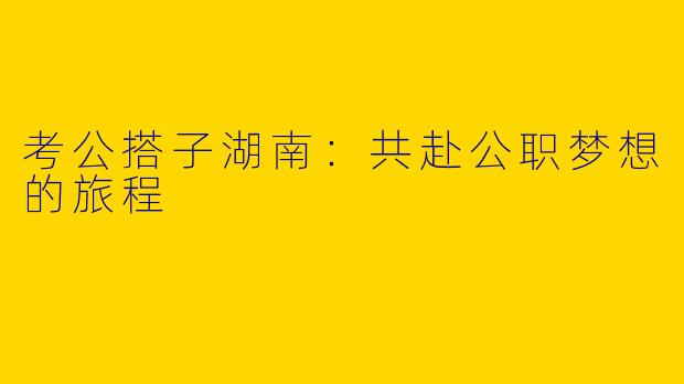 考公搭子湖南:共赴公职梦想的旅程