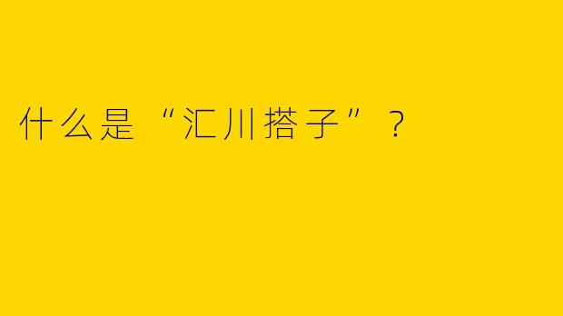 什么是“汇川搭子”？  
