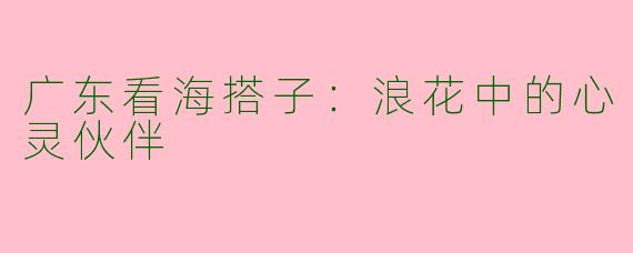 广东看海搭子：浪花中的心灵伙伴