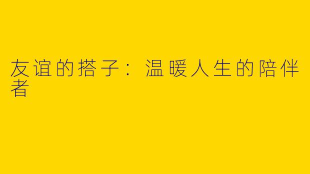 友谊的搭子：温暖人生的陪伴者