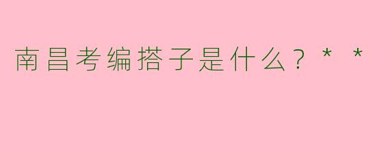 南昌考编搭子是什么？**