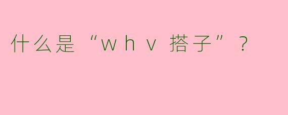 什么是“whv搭子”?