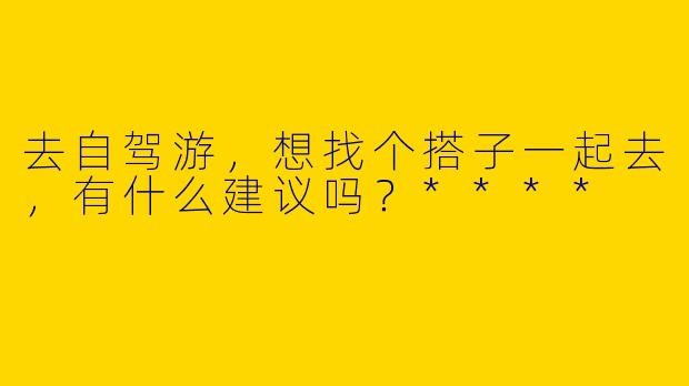 去自驾游,想找个搭子一起去,有什么建议吗?****