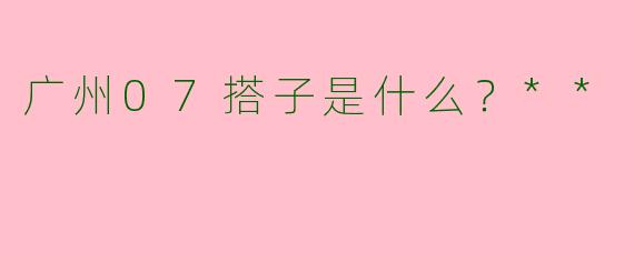 广州07搭子是什么？**