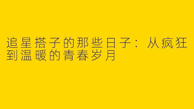 追星搭子的那些日子：从疯狂到温暖的青春岁月