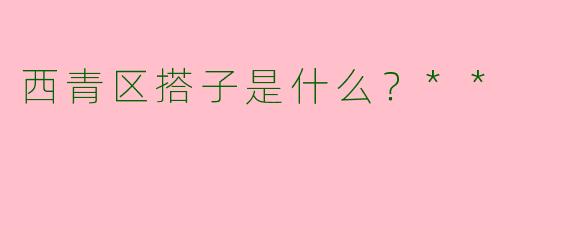 西青区搭子是什么?**