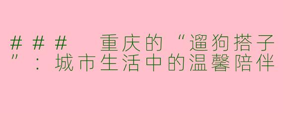 ### 重庆的“遛狗搭子”：城市生活中的温馨陪伴