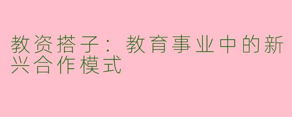 教资搭子：教育事业中的新兴合作模式