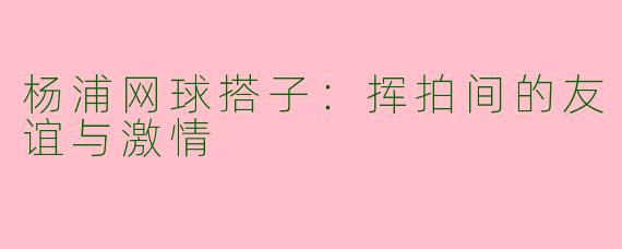 杨浦网球搭子：挥拍间的友谊与激情