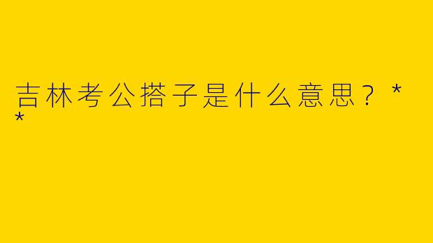 吉林考公搭子是什么意思？**