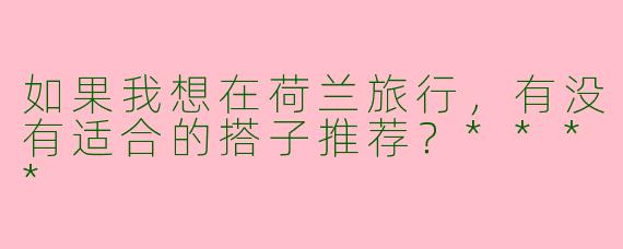 如果我想在荷兰旅行，有没有适合的搭子推荐？****