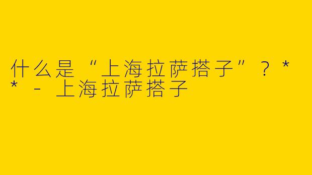 什么是“上海拉萨搭子”？**