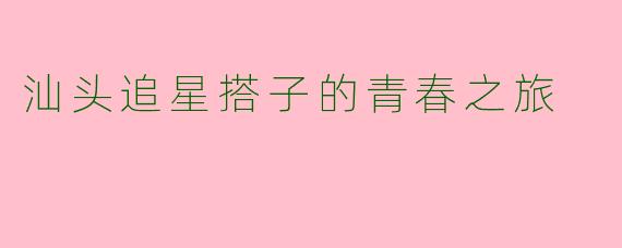 汕头追星搭子的青春之旅