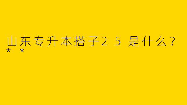 山东专升本搭子25是什么？**