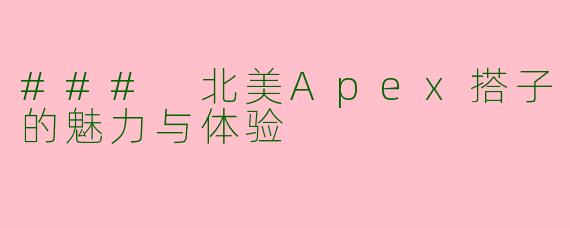### 北美Apex搭子的魅力与体验