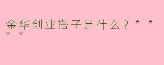 金华创业搭子是什么？****