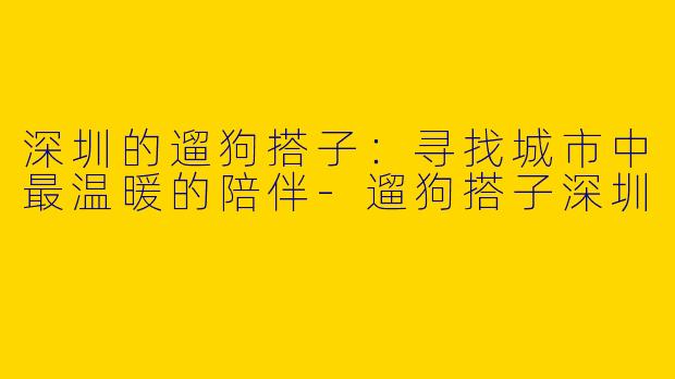 深圳的遛狗搭子：寻找城市中最温暖的陪伴