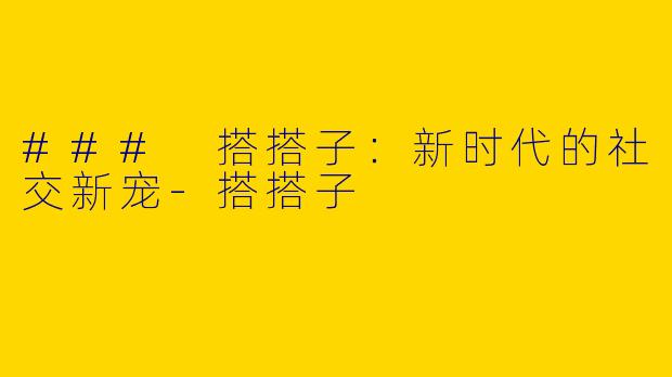 ### 搭搭子：新时代的社交新宠-搭搭子