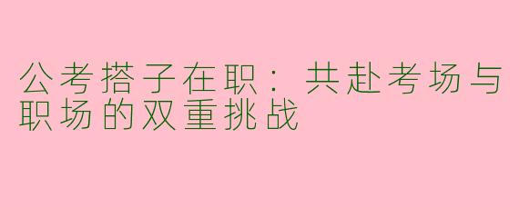 公考搭子在职：共赴考场与职场的双重挑战