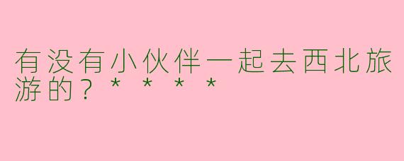 有没有小伙伴一起去西北旅游的?****