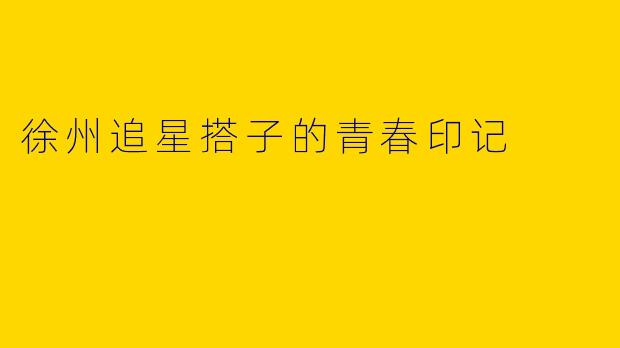 徐州追星搭子的青春印记