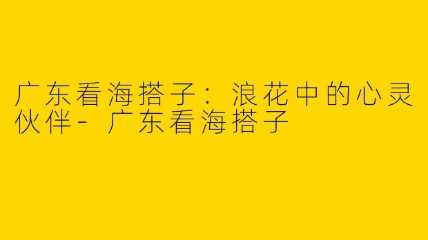 广东看海搭子：浪花中的心灵伙伴-广东看海搭子