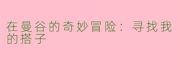 在曼谷的奇妙冒险：寻找我的搭子