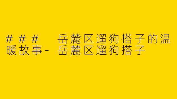 ### 岳麓区遛狗搭子的温暖故事