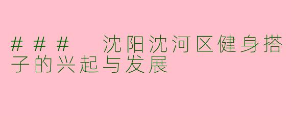### 沈阳沈河区健身搭子的兴起与发展