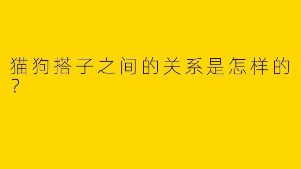 猫狗搭子之间的关系是怎样的?