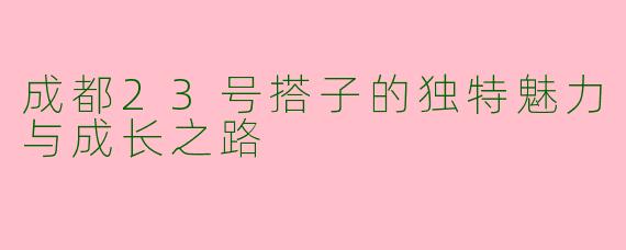 成都23号搭子的独特魅力与成长之路