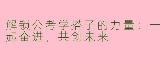 解锁公考学搭子的力量：一起奋进，共创未来