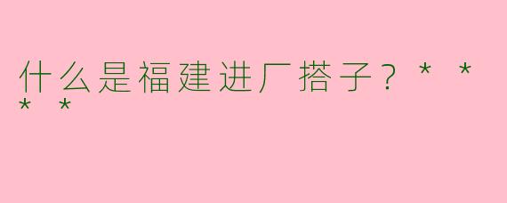 什么是福建进厂搭子?****