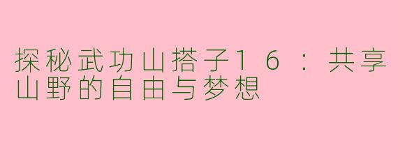 探秘武功山搭子16：共享山野的自由与梦想