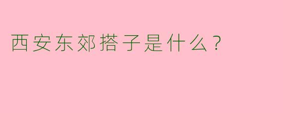 西安东郊搭子是什么？  