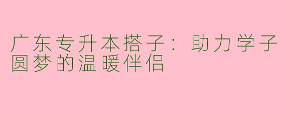 广东专升本搭子：助力学子圆梦的温暖伴侣