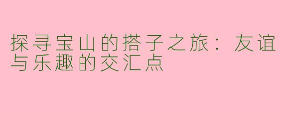探寻宝山的搭子之旅:友谊与乐趣的交汇点