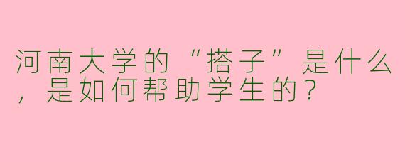河南大学的“搭子”是什么，是如何帮助学生的？