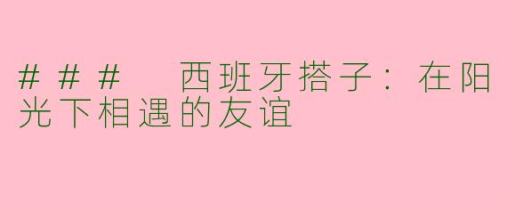 ### 西班牙搭子：在阳光下相遇的友谊
