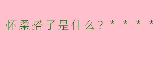 怀柔搭子是什么?****
