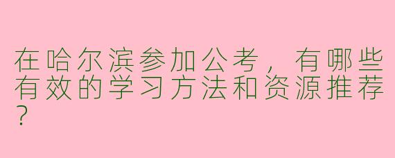 在哈尔滨参加公考,有哪些有效的学习方法和资源推荐?