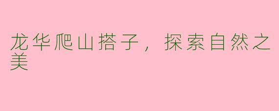 龙华爬山搭子，探索自然之美