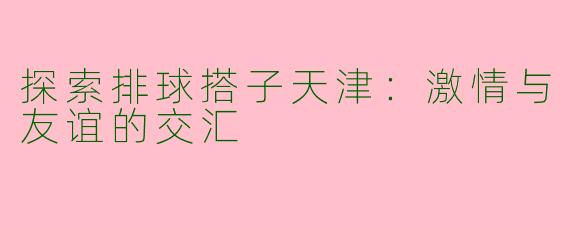探索排球搭子天津：激情与友谊的交汇